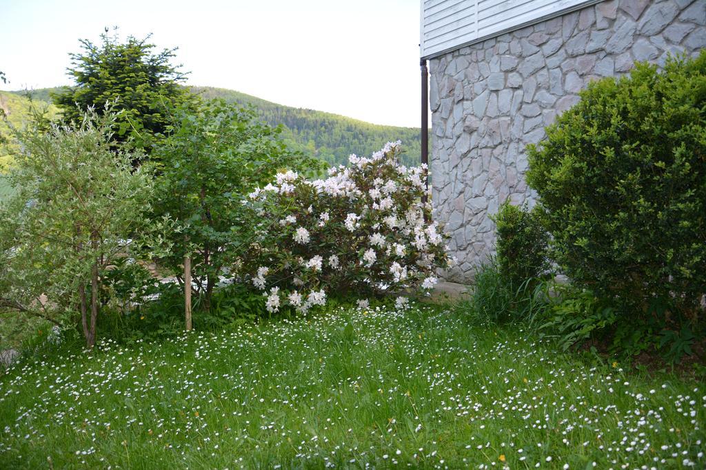 Sadyba Karpatiya Jaremtsche Exterior foto